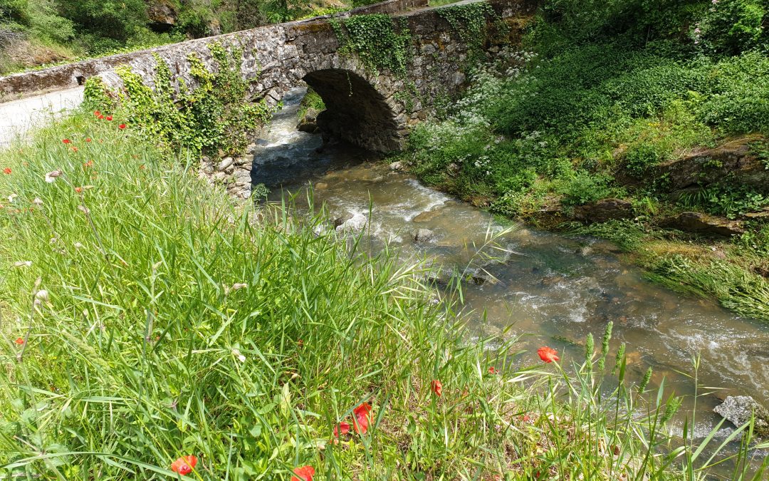 Le pont des Amboulons