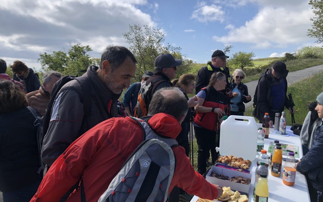 MARCHE LA MALVINOISE 2024 ORGANISÉE PAR LE COMITE DES FÊTES