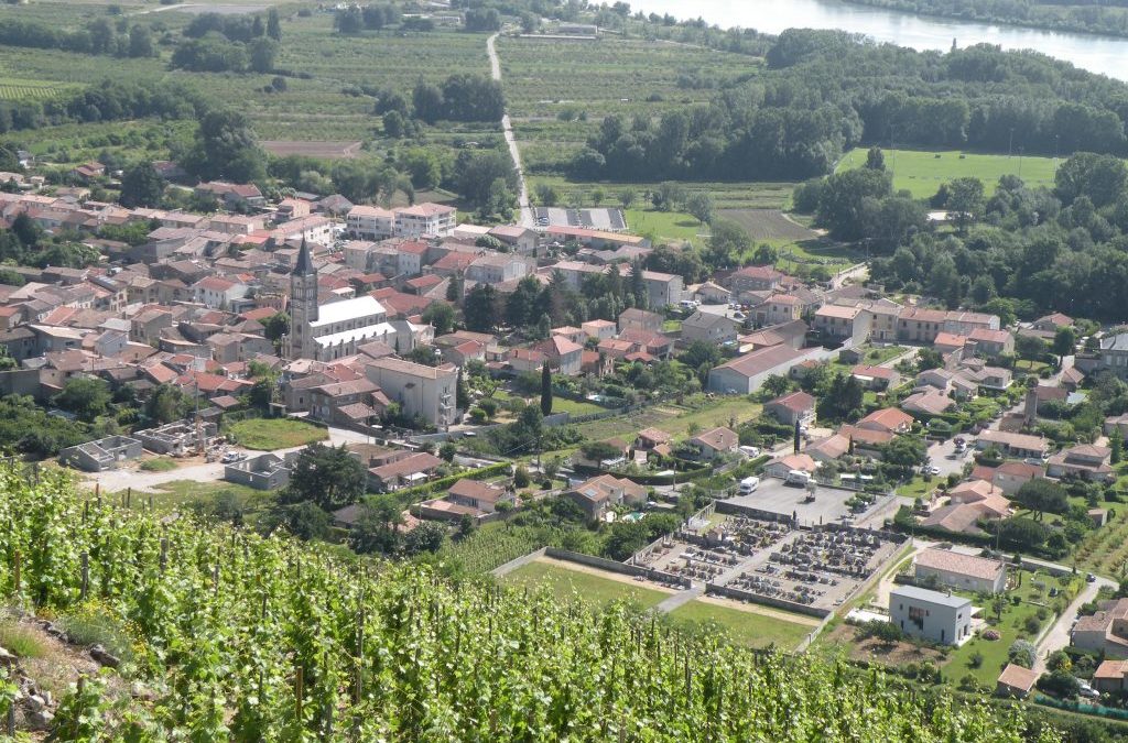 MAUVES VILLAGE CLASSE