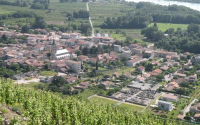 MAUVES VILLAGE CLASSE