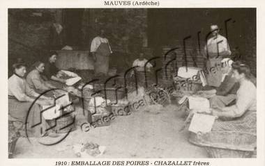 emballage-de-poires-en-1910